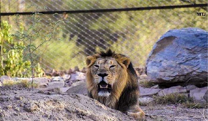 बायोलॉजिकल पार्क अजमेर में भी बनेगा