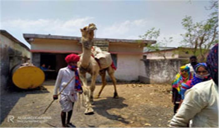 राजस्थान के गड़रियों को मिला नि:शुल्क राशन