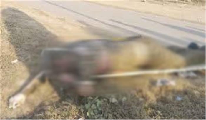 राजस्थान :इंदिरा गांधी नहर में भाजपा नेता का शव बरामद