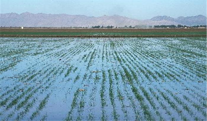 राजस्थान ने मध्यप्रदेश में सिंचाई के लिए छोड़ा पानी