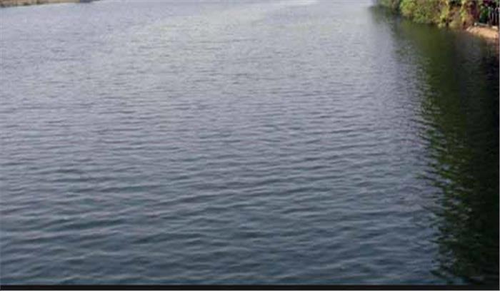  राजस्थान: मोर नदी में वैन डूब जाने से 2 भाइयों की मौत