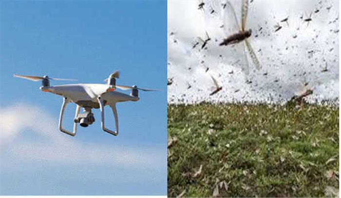 टिड्डियों को ड्रोन के जरिए नष्ट करने की कार्रवाई शुरु