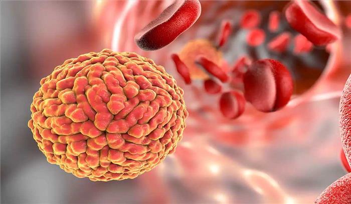 राजस्थान में फैलाई जा रही है जीका वायरस पर काबू के लिए जागरुरकता