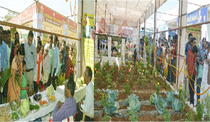 पाम की प्रदर्शनी लोगों में कौतुहल का विषय