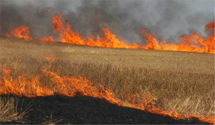 पराली जलाने से रोकने के लिए किसानों को वित्तीय सहायता देने की मांग