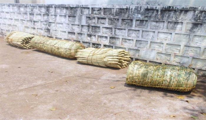 प्रतिबंध के बाद भी वनोत्पाद का रेलवे में परिवहन प्रतिबंध के बाद भी वनोत्पाद का रेलवे में परिवहन