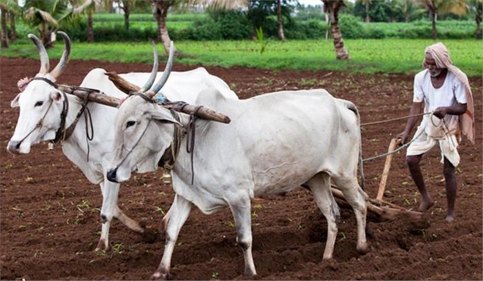 25 को ग्रामीण उद्यमिता प्रोत्साहन कार्यक्रम रायपुर में