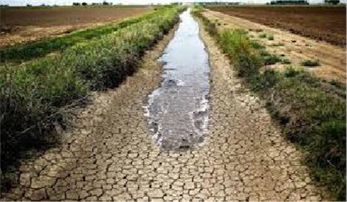 नहर से पानी नहीं मिला, मस्तूरी के किसानों की फसल बर्बाद
