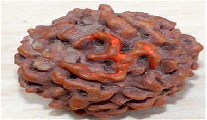 दुर्लभ रूद्राक्षों की प्रदर्शनी कल से