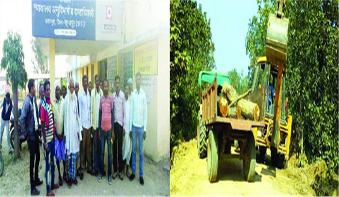 हाथियों के रेस्क्यू सेंटर के नाम पर पेड़ों की कटाई