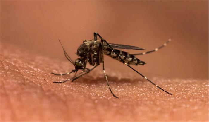 कोरंधा के दर्जनों ग्रामीण मलेरिया से पीड़िता