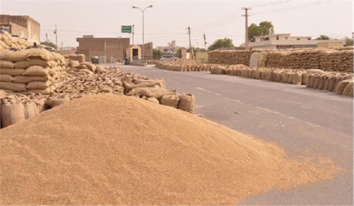 एसडीएम ने अनाज मंडी का किया निरीक्षण एसडीएम ने अनाज मंडी का किया निरीक्षण