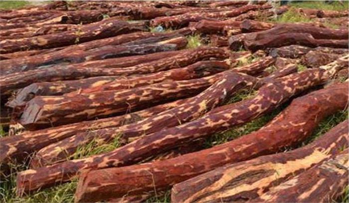 एसटीएसएफ ने जब्त किए 8 करोड़ का दुर्लभ रक्त चंदन