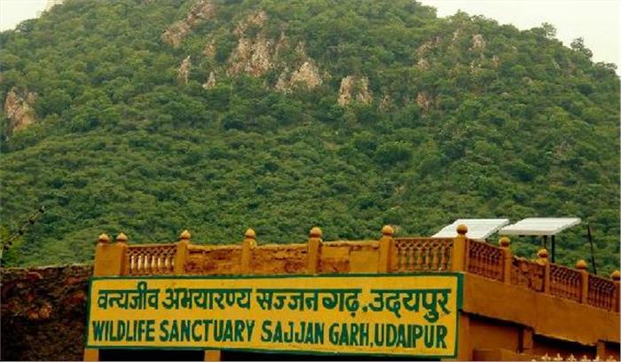 सज्जनगढ़ जैविक पार्क में एशियाई शेरनी महक का सफल ऑपरेशन