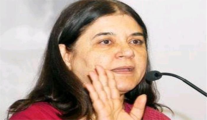 सैनिटरी पैड पर 12 फीसदी जीएसटी सही : मेनका