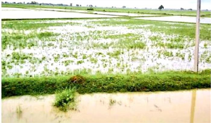 रबी को पानी देने से खरीफ पर मंडराया खतरा