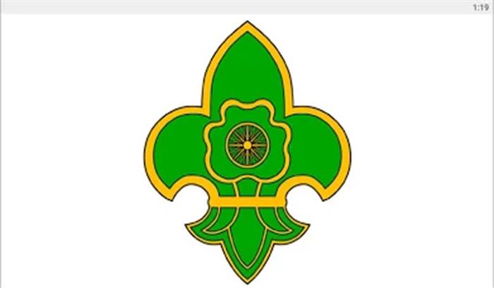 स्काऊट एंड गाइड आज करेगा वन औषधि पौधों का वितरण