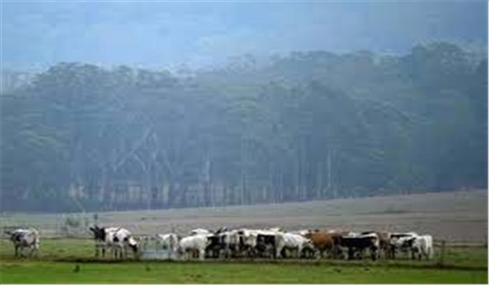 ऑस्ट्रेलिया में बारिश से आग प्रभावित क्षेत्रों में राहत