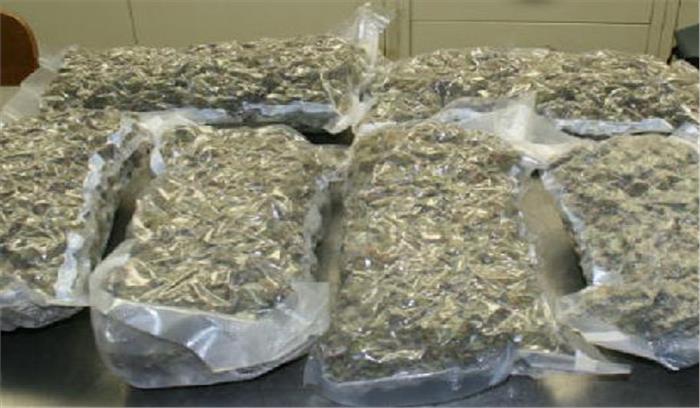 शहडोल: जीप से बरामद किया गांजा