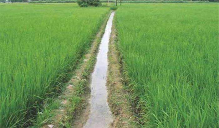  मध्यप्रदेश: खेत की रखवाली करने वाले मजदूर की हत्या