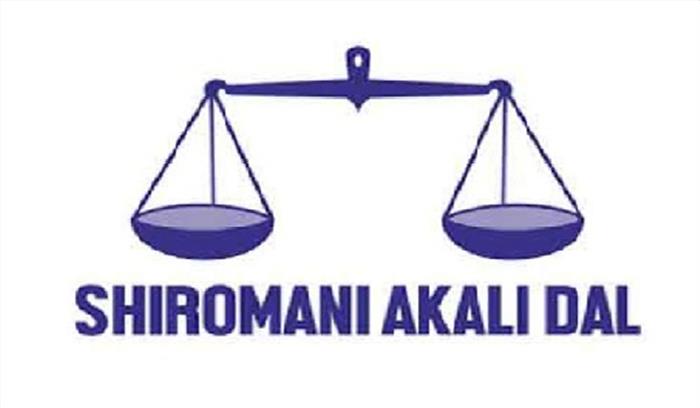 सिख विरोधी दंगों के लिए राज्यसभा में न्याय की मांग: अकाली नेता