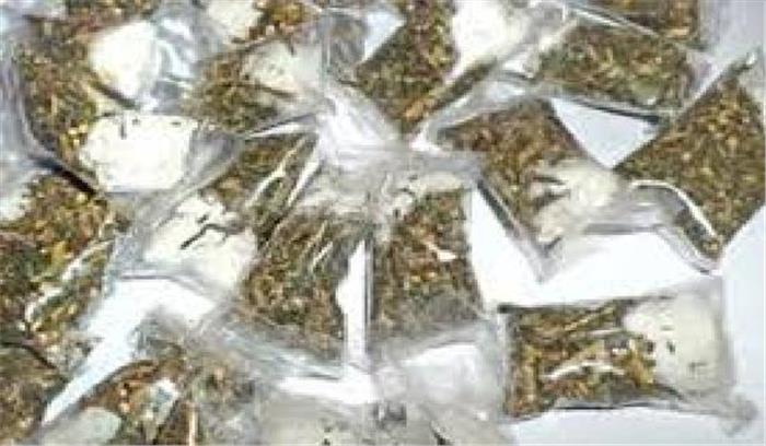 अवैध गांजे के साथ तस्कर गिरफ्तार