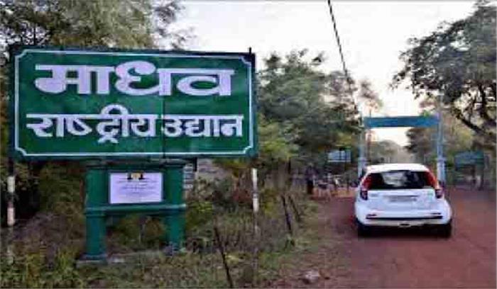 मानसून में माधव राष्ट्रीय उद्यान खूब लुभा रहा पर्यटकों को मानसून में माधव राष्ट्रीय उद्यान खूब लुभा रहा पर्यटकों को