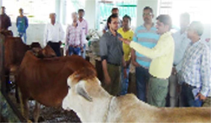 कलेक्टर ने कृषि विज्ञान केन्द्र का किया निरीक्षण कलेक्टर ने कृषि विज्ञान केन्द्र का किया निरीक्षण