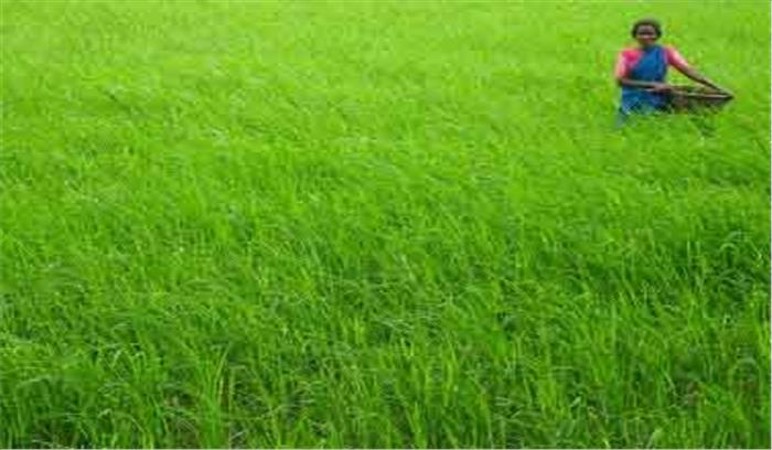 एक ही फसल बार-बार उगाना ठीक नहीं : बी.बी. त्यागी एक ही फसल बार-बार उगाना ठीक नहीं : बी.बी. त्यागी