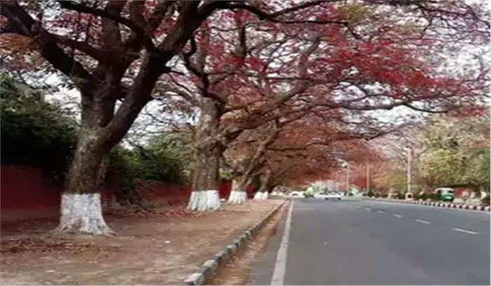 उप्र में लागू होगा एक सड़क, एक पेड़ सिद्धांत उप्र में लागू होगा एक सड़क, एक पेड़ सिद्धांत