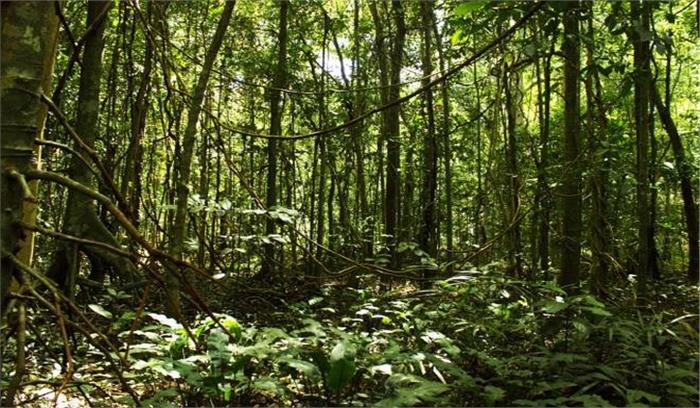 उत्तर प्रदेश: जंगल में अज्ञात युवक का अधजला शव मिला