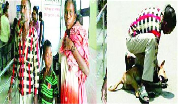 बेटे को काटा तो कुत्ते से भिड़ गया पिता