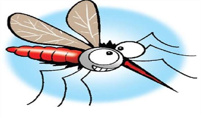 अब नुक्कड़ नाटक के जरिए मच्छर जनित बीमारियों की रोकथाम करेगी निगम 