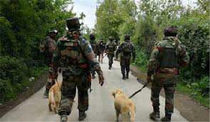 जंगलों में अातंकवदियों के खिलाफ सुरक्षा बलों ने तलाशी अभियान शुरू किया