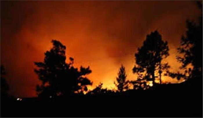 फ्रांस: जंगल की आग से बड़े पैमाने पर पलायन