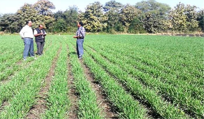 बोवाई पूर्व बीजों को करें उपचारित