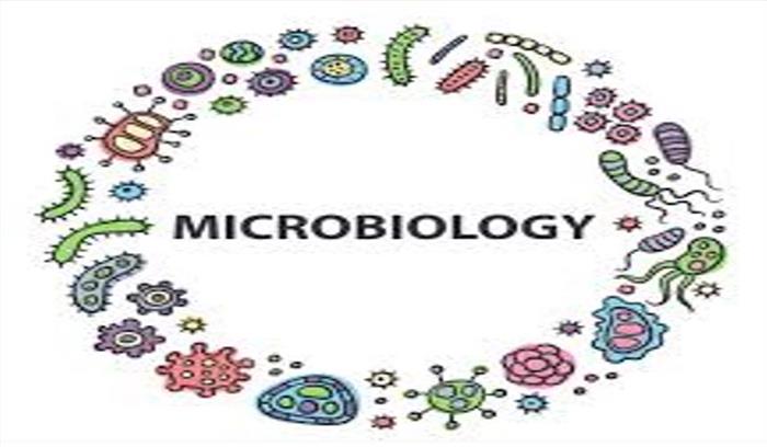 स्पेन के सहयोग से सूक्ष्म जीव विज्ञान पर भारत में रिसर्च स्पेन के सहयोग से सूक्ष्म जीव विज्ञान पर भारत में रिसर्च