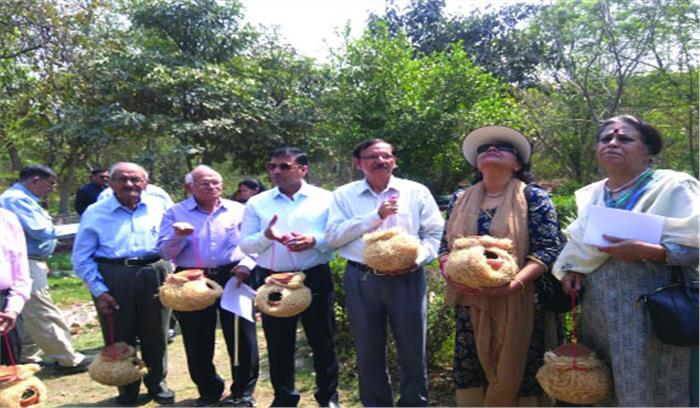 कहीं विलुप्त न हो जाए घर का आंगन कहीं जाने वाली गौरैया चिड़ियां