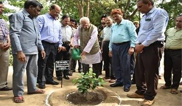 विशेष अवसर पर उपहार में पौधे भेंट करें : राम नाईक