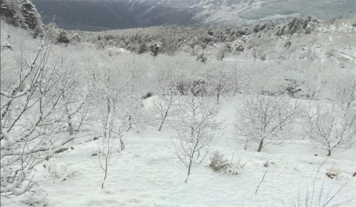 बर्फबारी के कारण श्रीनगर-जम्मू राजमार्ग पर यातायात बंद