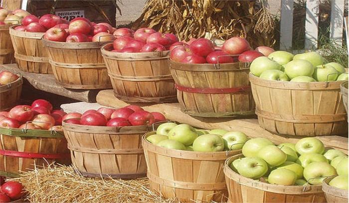 कश्मीर के किसानों के लिए अच्छी खबर, सेब के मिलेंगे बेहतर दाम
