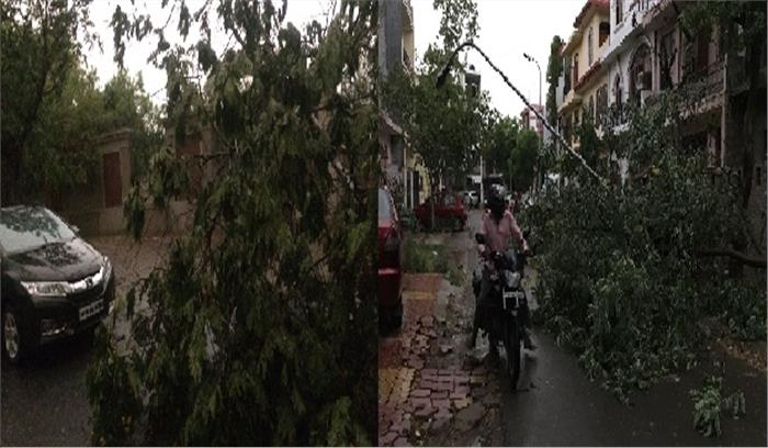 तेज तूफान से पेड़ व बिजली के खंभे उखड़े, हुआ नुकसान तेज तूफान से पेड़ व बिजली के खंभे उखड़े, हुआ नुकसान