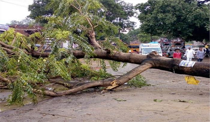 बलिया में भी आंधी-तूफान में गिरा पेड़ दो युवकों की मौत बलिया में भी आंधी-तूफान में गिरा पेड़ दो युवकों की मौत