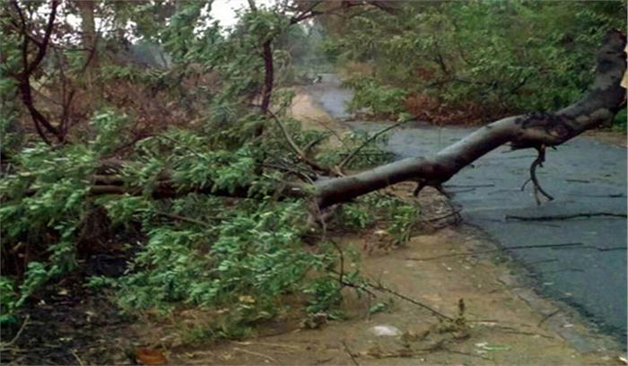 उत्तर प्रदेश : तेज आंधी के दौरान पेड़ गिरने से दो बालिकाओं की मौत