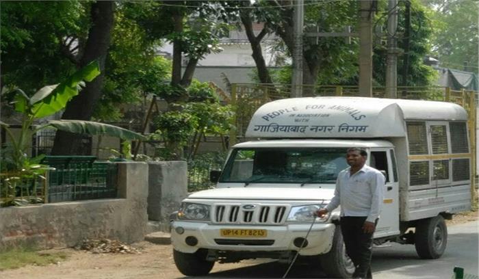 आवारा कुत्तों पर नकेल कसेगा नगर निगम 