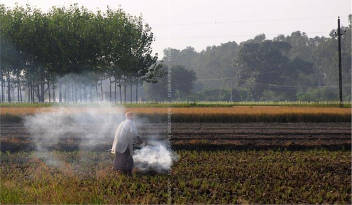 पराली की समस्या के समाधान के लिए 1151.80 करोड़ की योजना