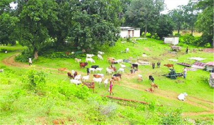 56 मवेशियों सहित 6 पशु तस्कर गिरफ्तार