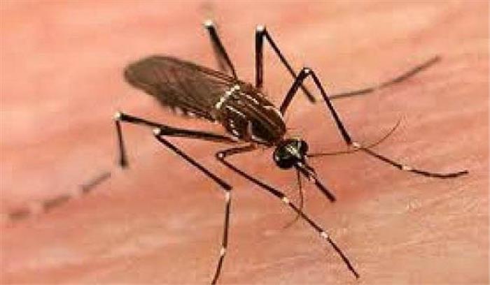 सुकमा में डेंगू के प्रकरण मिले