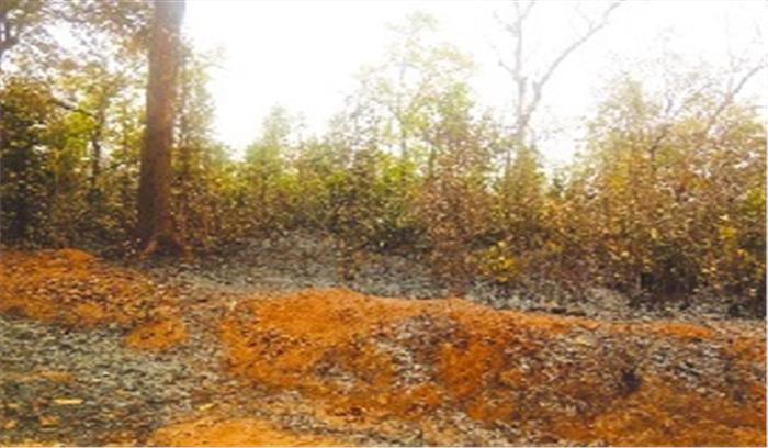 धरमजयगढ़ वन मंडल के जंगल में आग