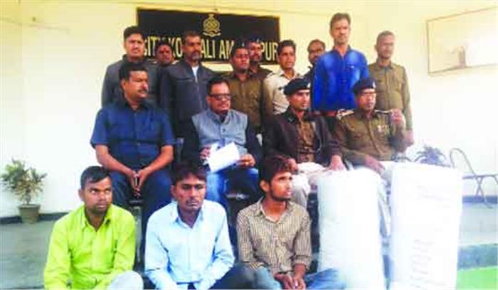 सूमो से एक क्विंटल गांजा बरामद, तीन गिरफ्तार